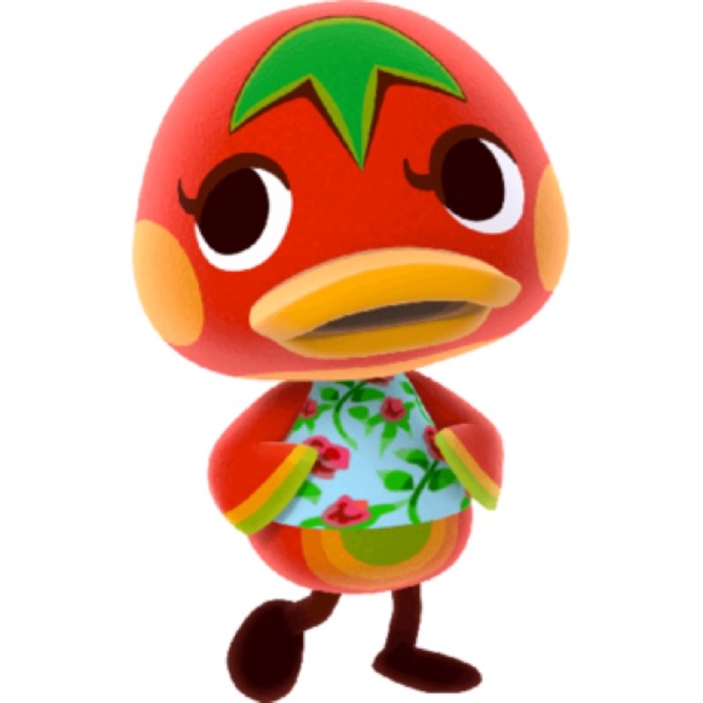 Ketchup Amiibo Card Coin Animal Crossing New Horizons ACNH